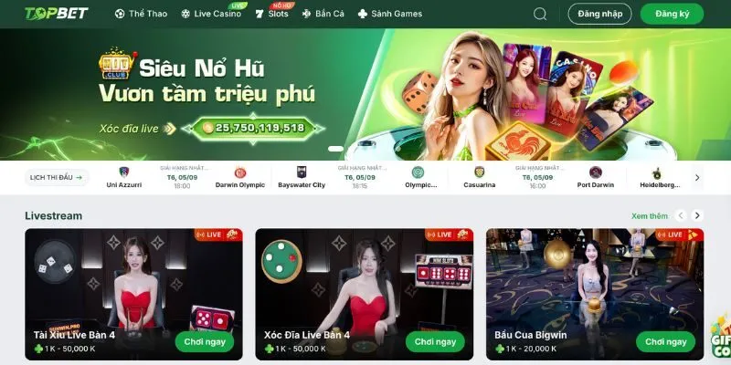 Giới thiệu vài nét về Topbet